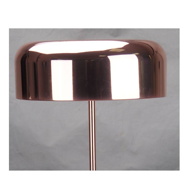 Moderne vloerlamp met metalen kap